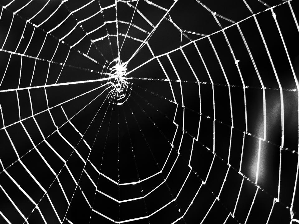 web